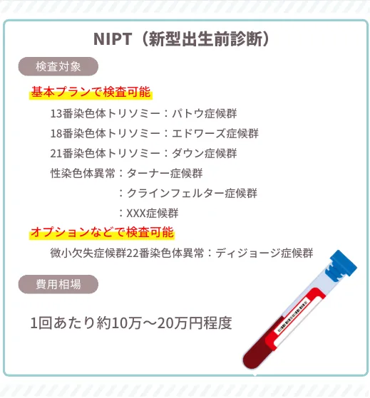 NIPT 解説