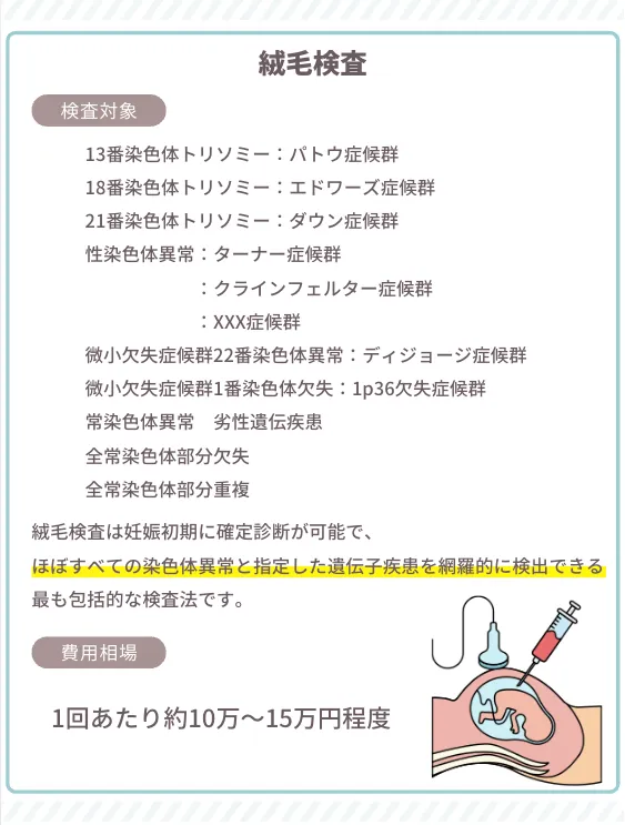 絨毛検査 解説